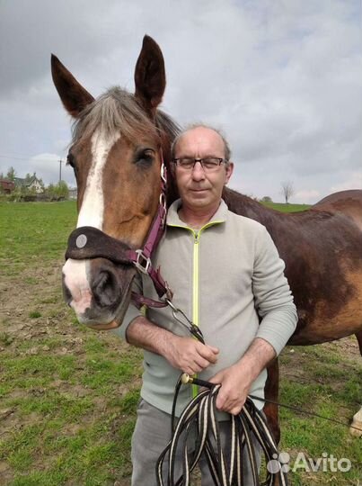 Ремонт бытовой техники