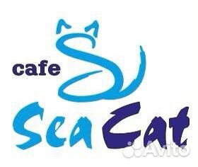 Администратор кафе, сезон, Крым