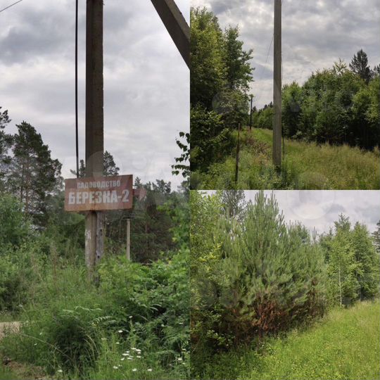 Участок 20 сот. (СНТ, ДНП)
