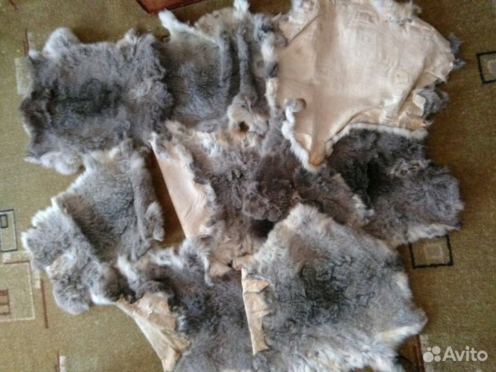 Шкурки кролика
