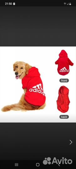 Одежда для крупных собак