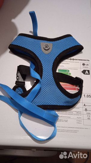 Толстовка и шлейка