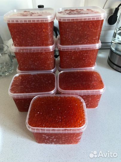 Продам икру. Вылов 2023 год