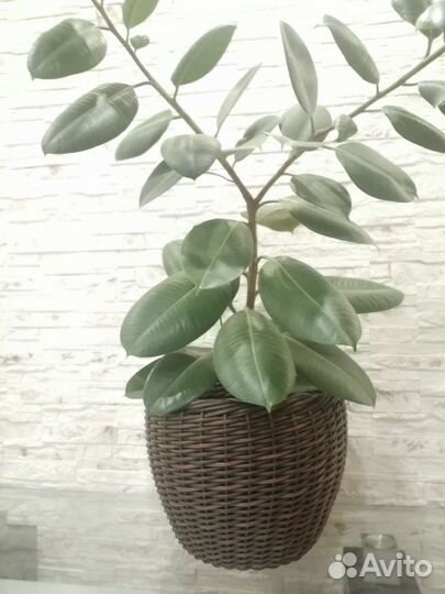 Кашпо важно из ротанга