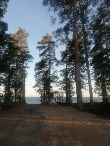 Участок 21 сот. (ИЖС)