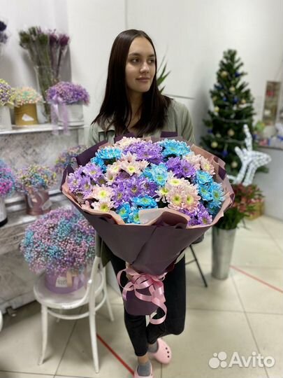 Хризантема кустовая цветы живые