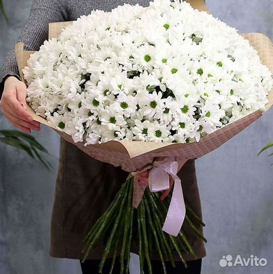 Доставка букетов и цветов. Хризантема