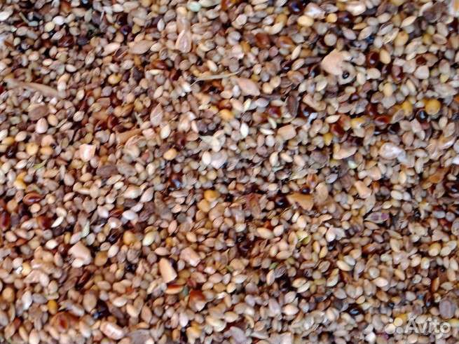 Отходы корма для животных и птицы