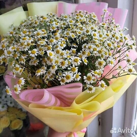 Доставка цветов. Ромашки