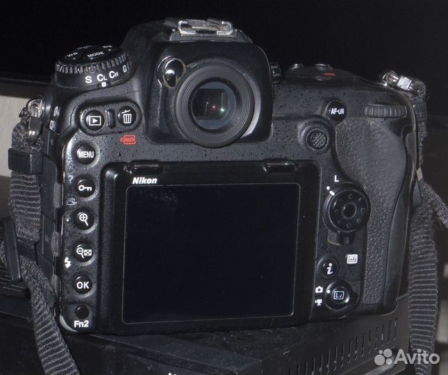 Nikon D500