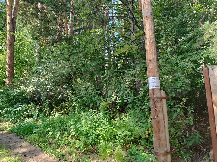 Участок 14 сот. (СНТ, ДНП)