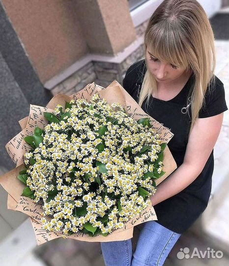 Цветы ромашки