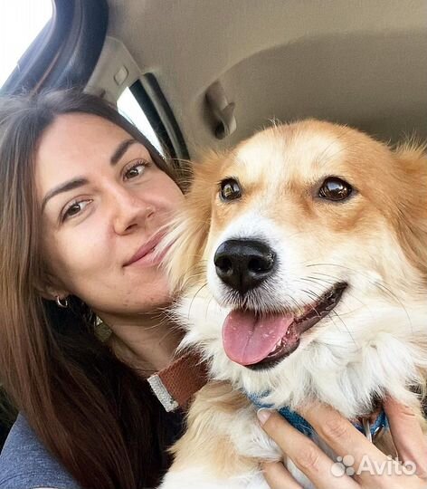 Перевозка животных