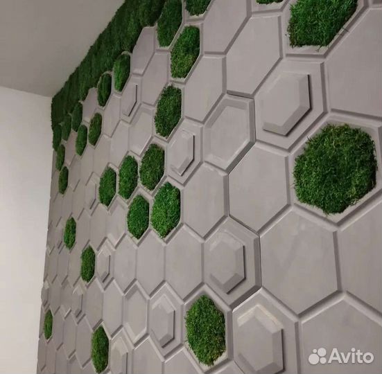 Соты картина из мха со мхом фитокартина