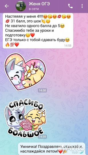 Репетитор по обществознанию