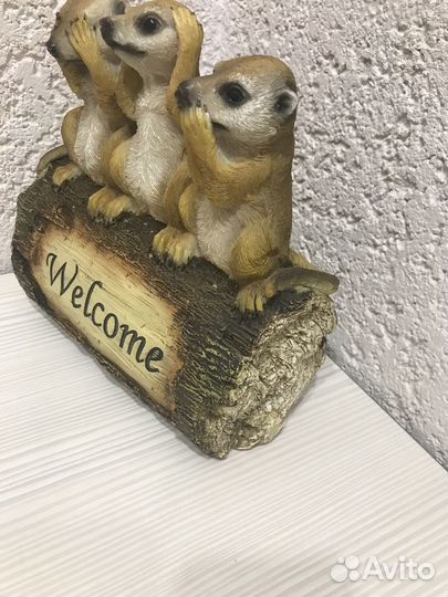 Сурикаты welcome