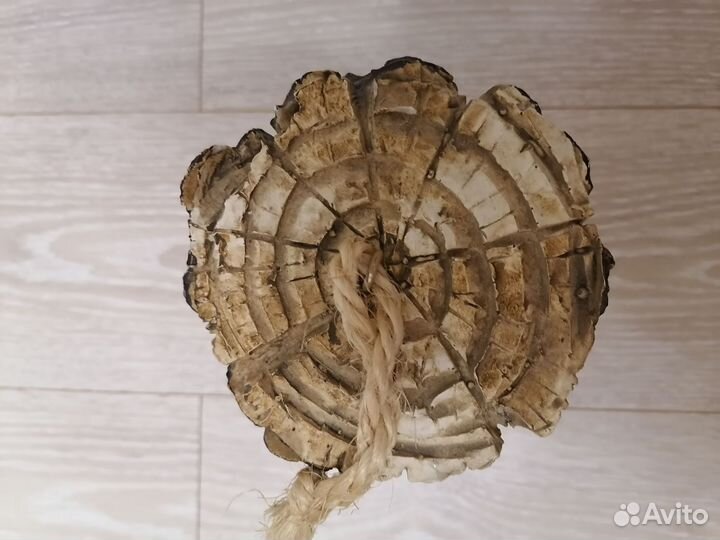 Кормушка для птиц и белок