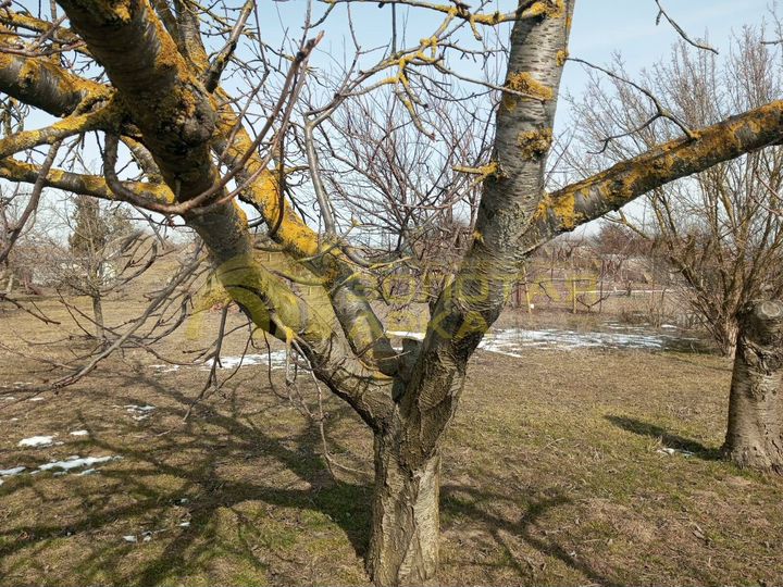 Участок 15 сот. (ИЖС)