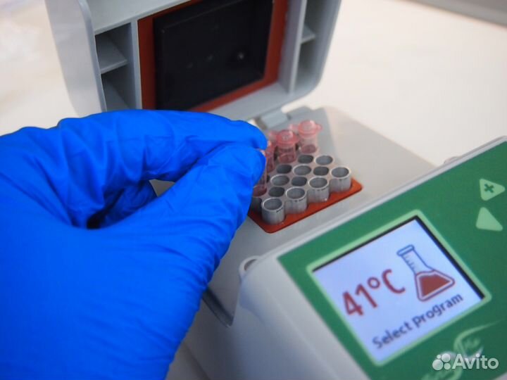 Термоциклер/Термостат/Амплификатор