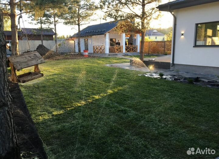 Рулонный газон