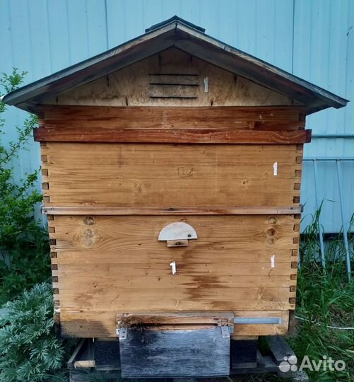 Ульи б/у, пчелы Карпатка, пчелопакеты