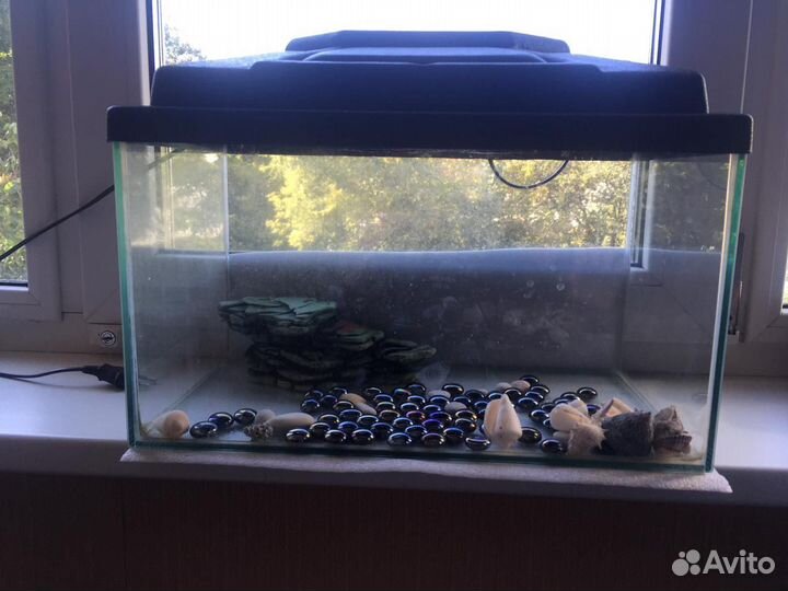Аквариум