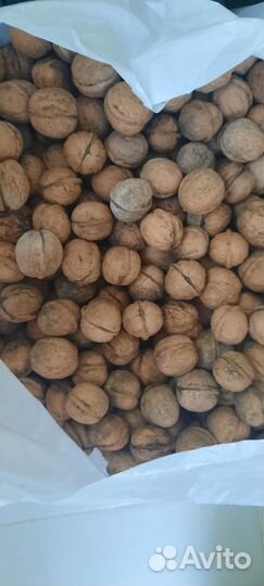 Орех грецкий