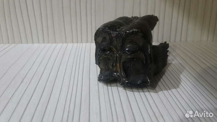 Палеонтология. Зубы млекопитающих. Зуб акулы