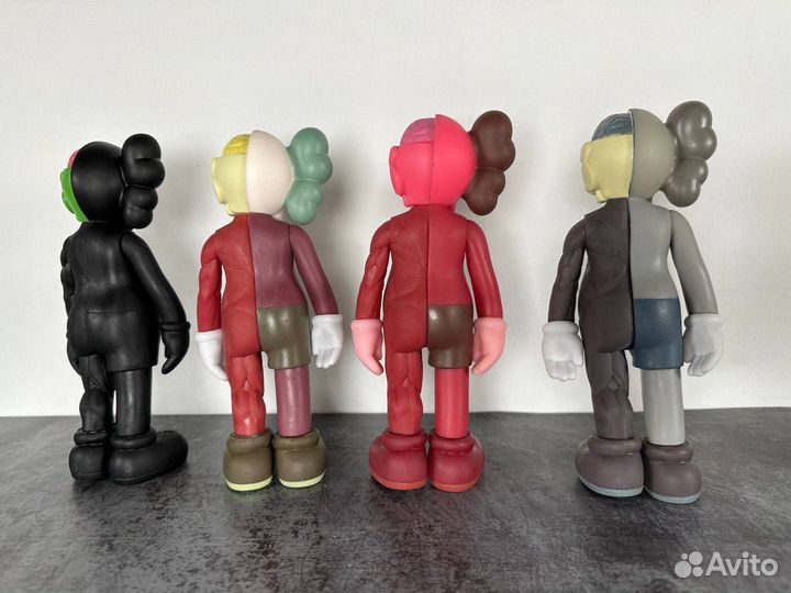 Kaws Anatomy