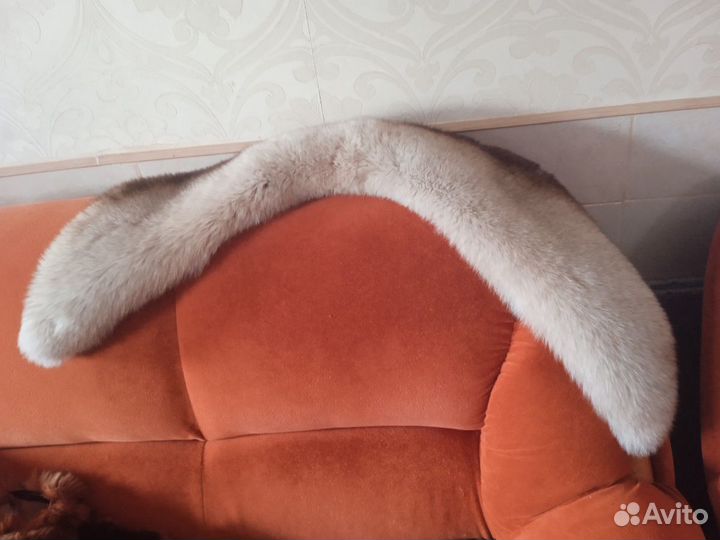 Песец с доставкой