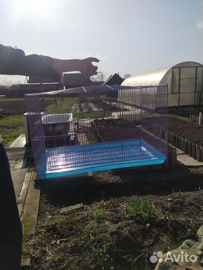 Клетка с выдвижным поддоном