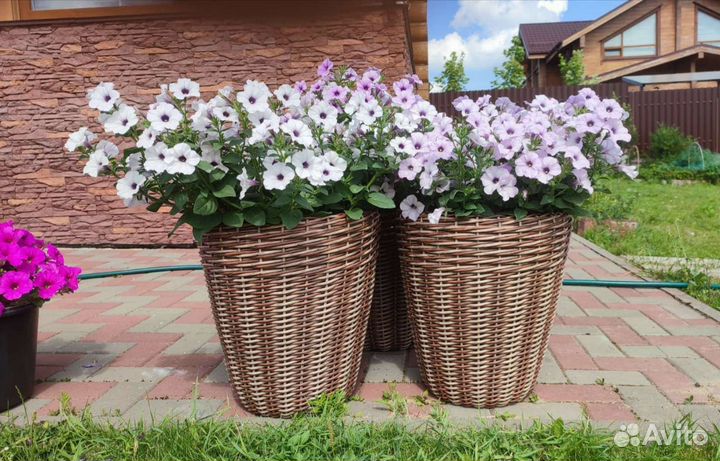 Кашпо из ротанга