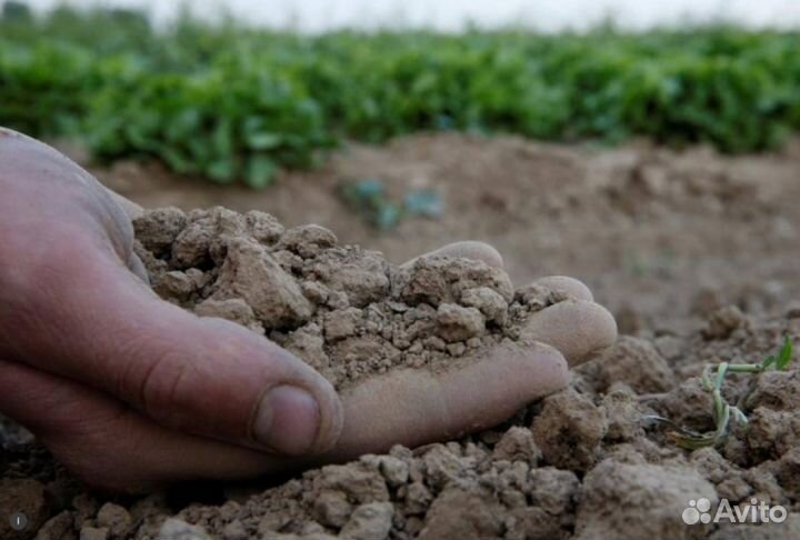 Приму грунт