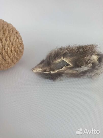 Игрушки для кошек