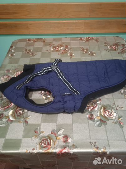 Жилетка для кобеля 2xl