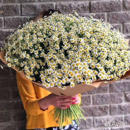 Полевые ромашки, букеты с доставкой
