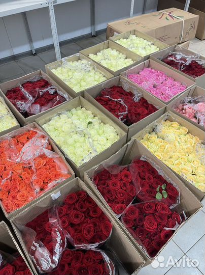 Розы букеты