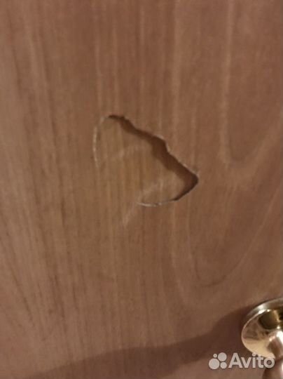 Отдам даром бесплатно