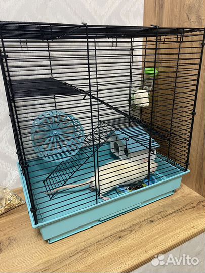 Крысенок с клеткой