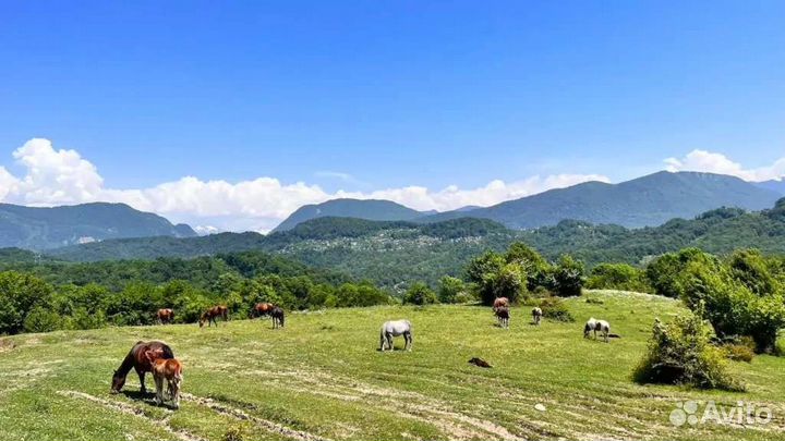 Экскурсия Джип Тур Каньон Псахо