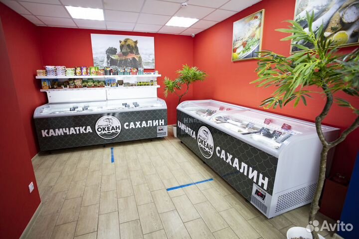 Франшиза рыбного магазина