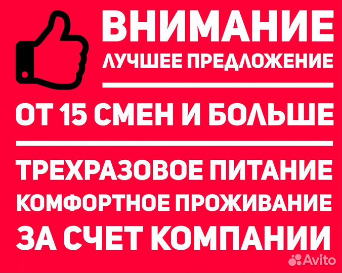 Упаковка яиц вахта 15 30 45 60