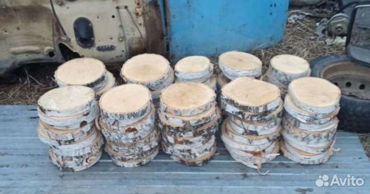 Спилы березовые