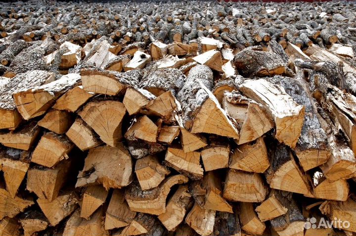 Дрова в тот же день