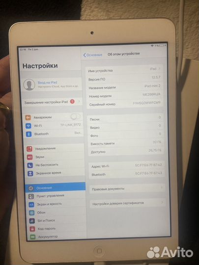 iPad mini