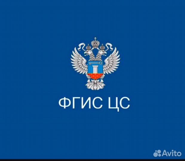 Отчёт 
