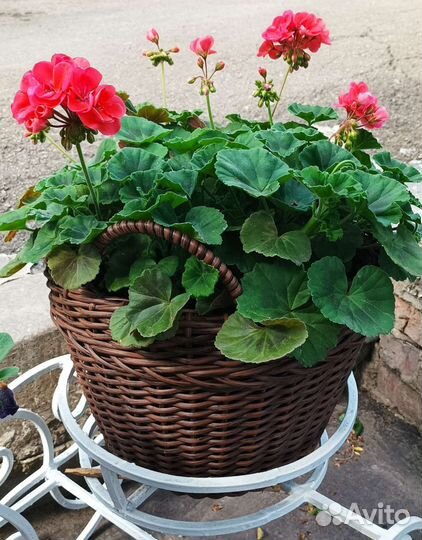 Кашпо из ротанга 14 л