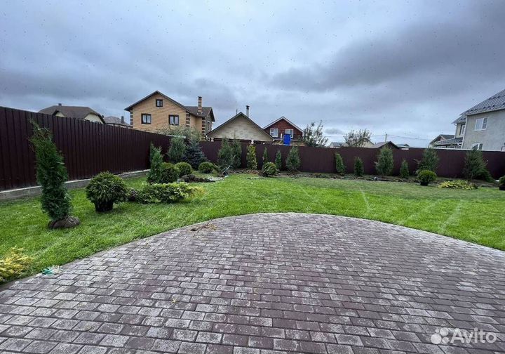 Можжевельник Блю Эрроу с бесплатной доставкой