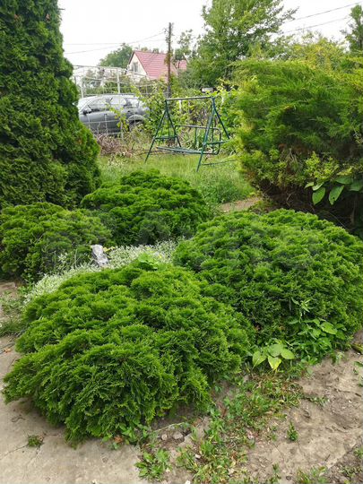 Участок 7,2 сот. (СНТ, ДНП)