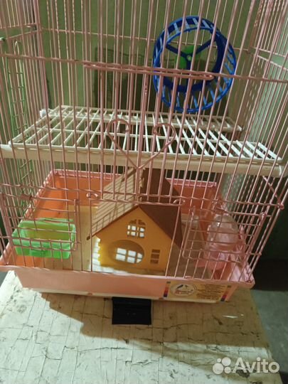 Клетка для джунгарского хомяка